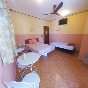 Twin Room Terrace